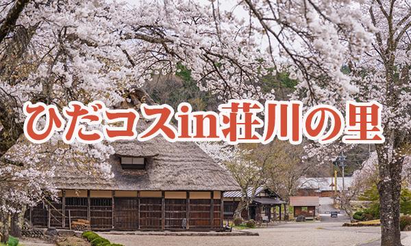 ひだコスin荘川の里 in岐阜イベント