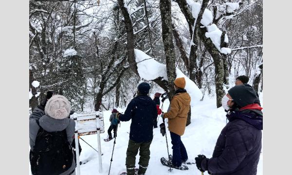 旭山スノーシュートレッキング イベント画像3