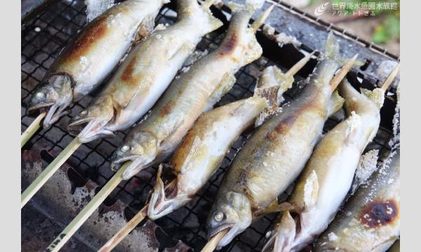 岐阜の魚屋「魚ぎ」さんが教える　あゆの串打ち・塩焼き体験 イベント画像1